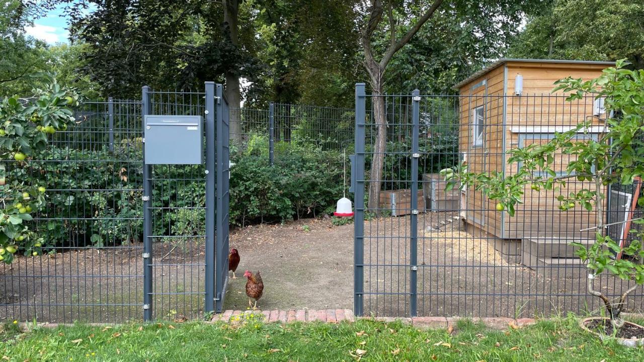 Ferienwohnung Carla Rohls Königs Wusterhausen Exterior foto